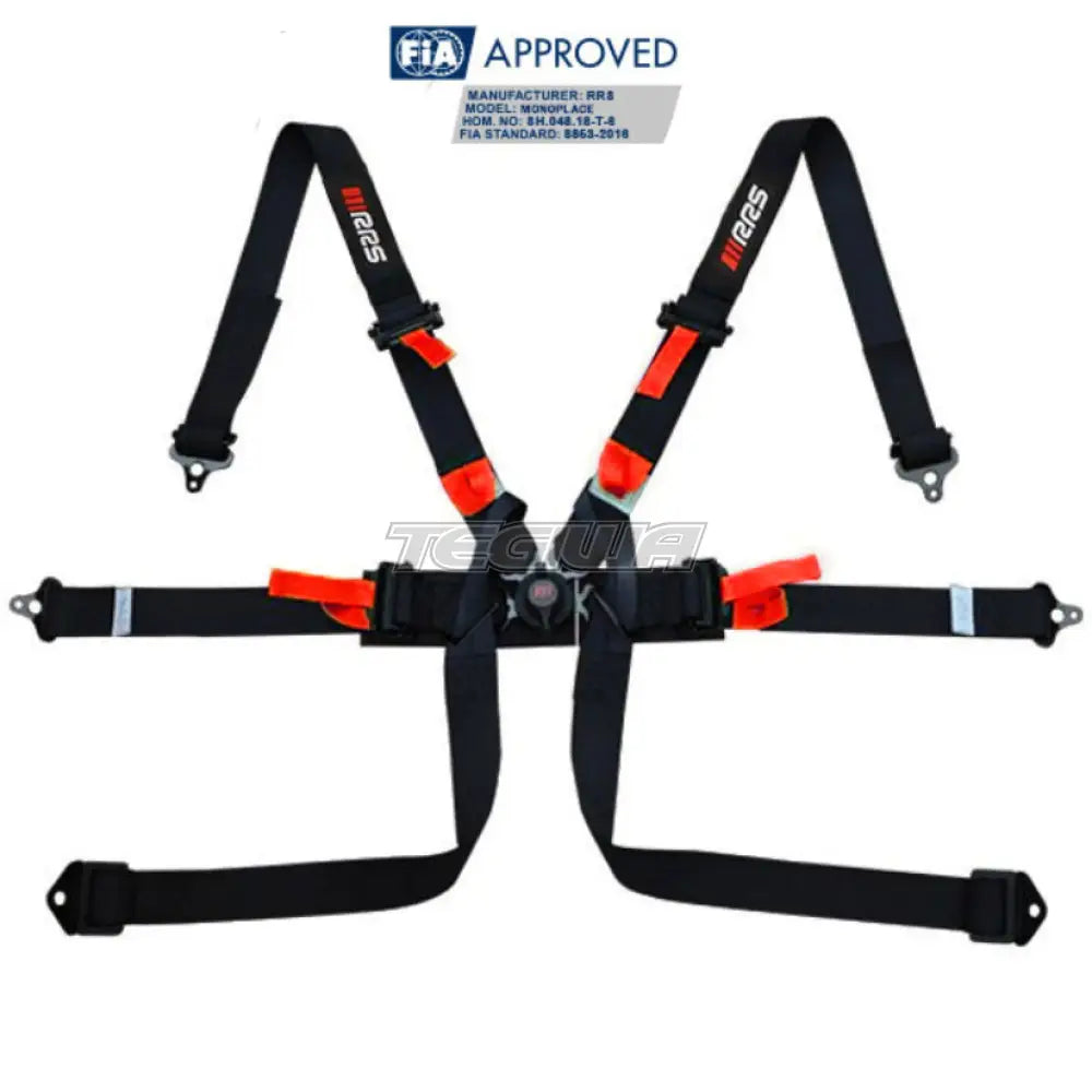 RRS FIA 2 Monoplace Hans Harness