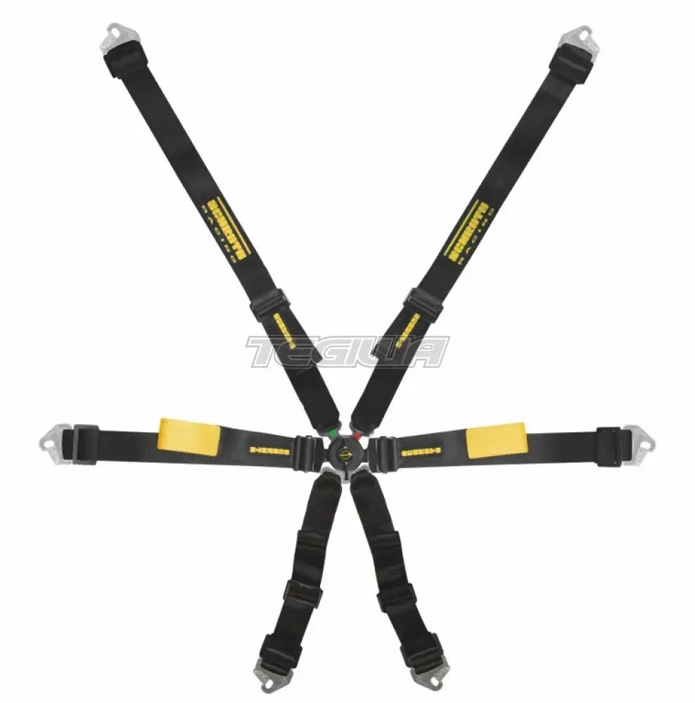 Schroth FHR 6 Point 2x2 Enduro Harness