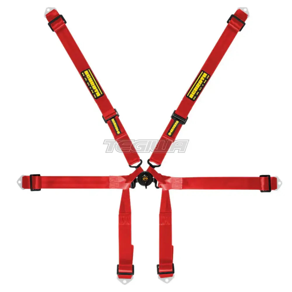 Schroth FHR 6 Point 2x2 Formula Harness