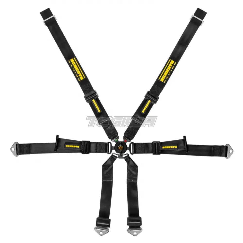 Schroth FHR 6 Point 2x2 OEM Porsche 991 Profi Harness