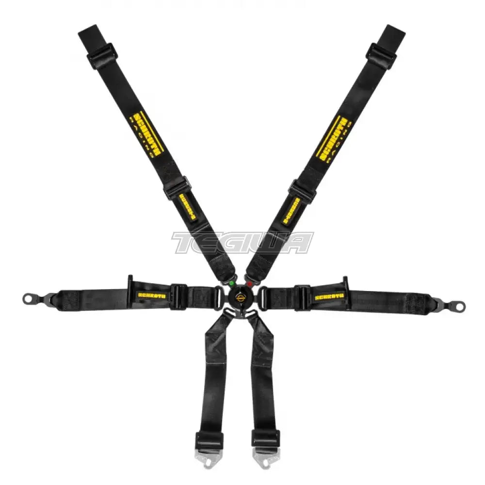 Schroth FHR 6 Point 2x2 OEM Porsche 996/997 Profi Harness