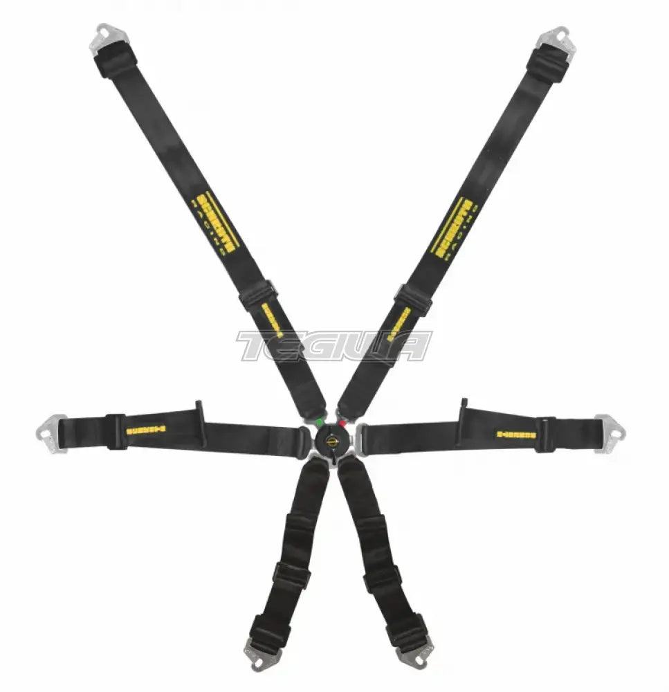 Schroth FHR 6 Point 2X2 Profi Harness