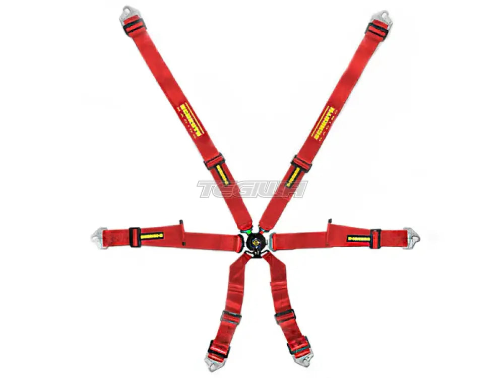 Schroth FHR 6 Point 2X2 Profi Harness