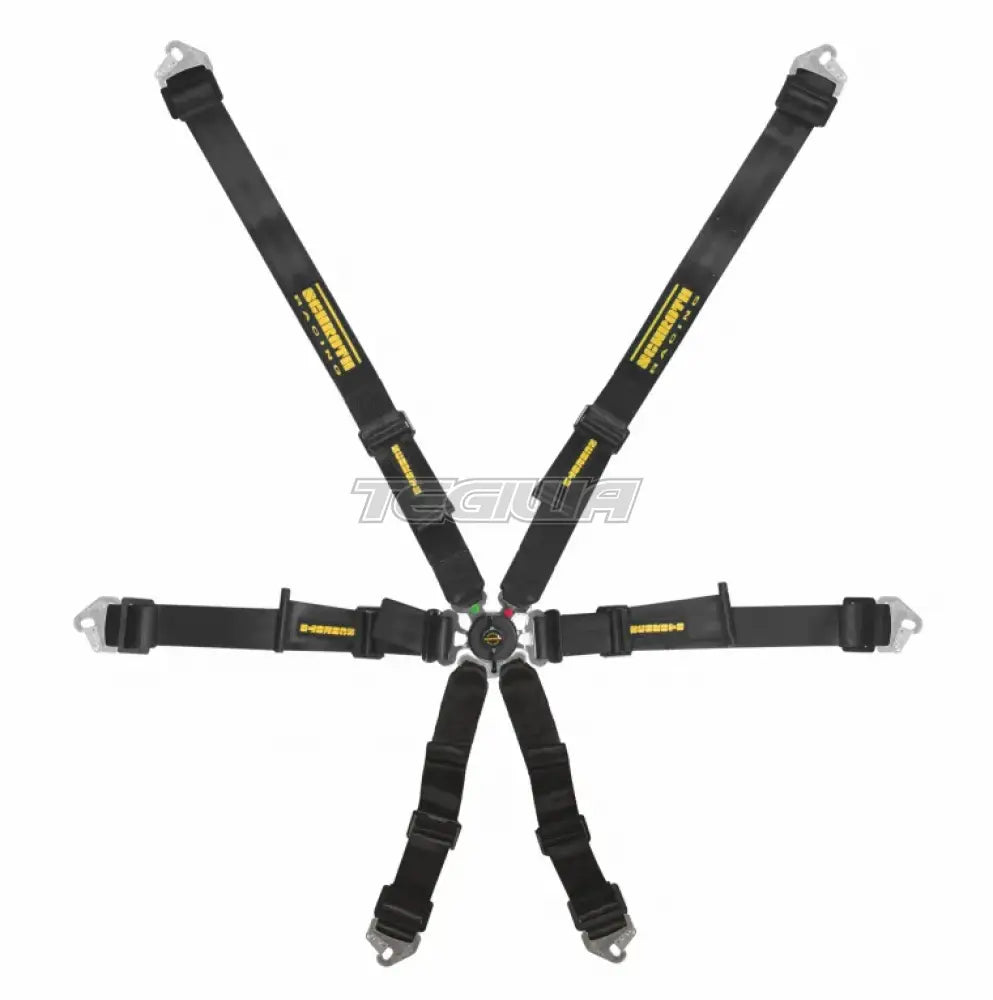 Schroth FHR 6 Point Flexi Harness