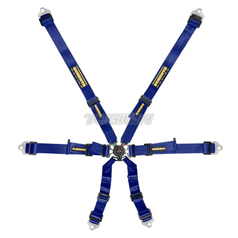 Schroth FHR 6 Point Flexi Harness