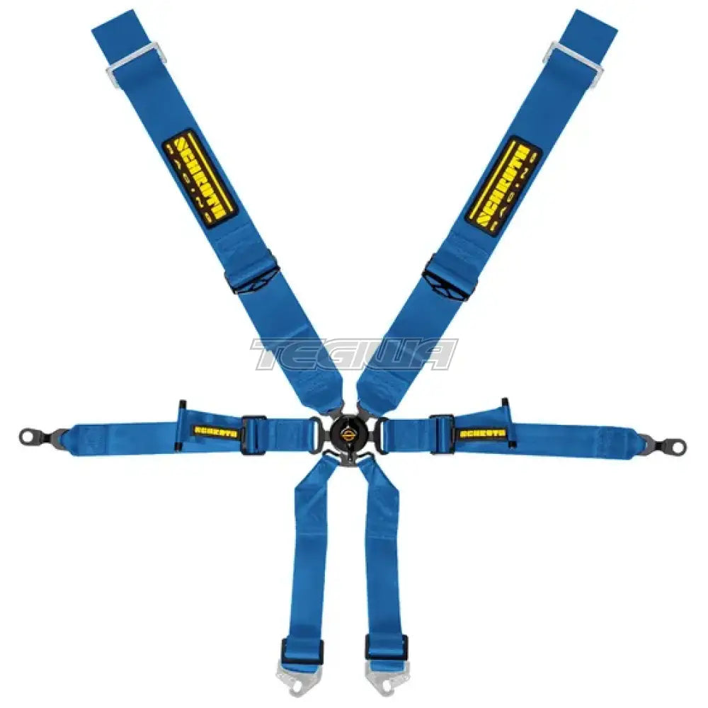 Schroth 6 Point 3x2 OEM Porsche 991 Harness