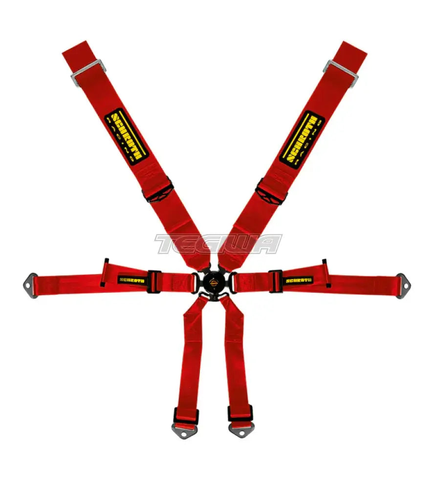 Schroth 6 Point 3x2 OEM Porsche 991 Harness