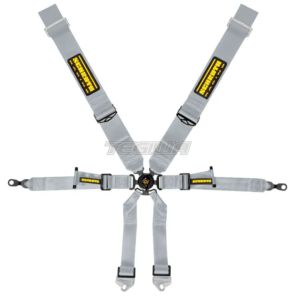 Schroth 6 Point 3x2 OEM Porsche 991 Harness