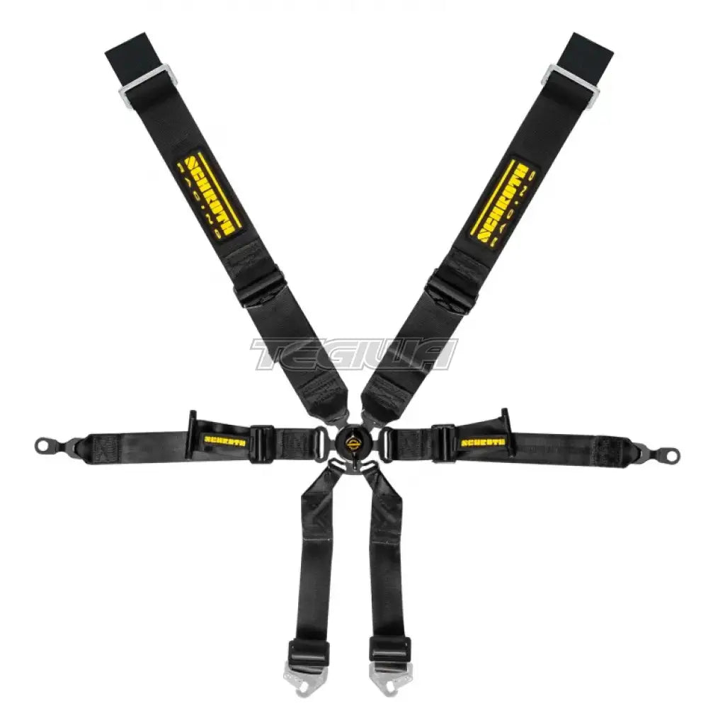 Schroth 6 Point 3x2 OEM Porsche 996/997 Profi Harness