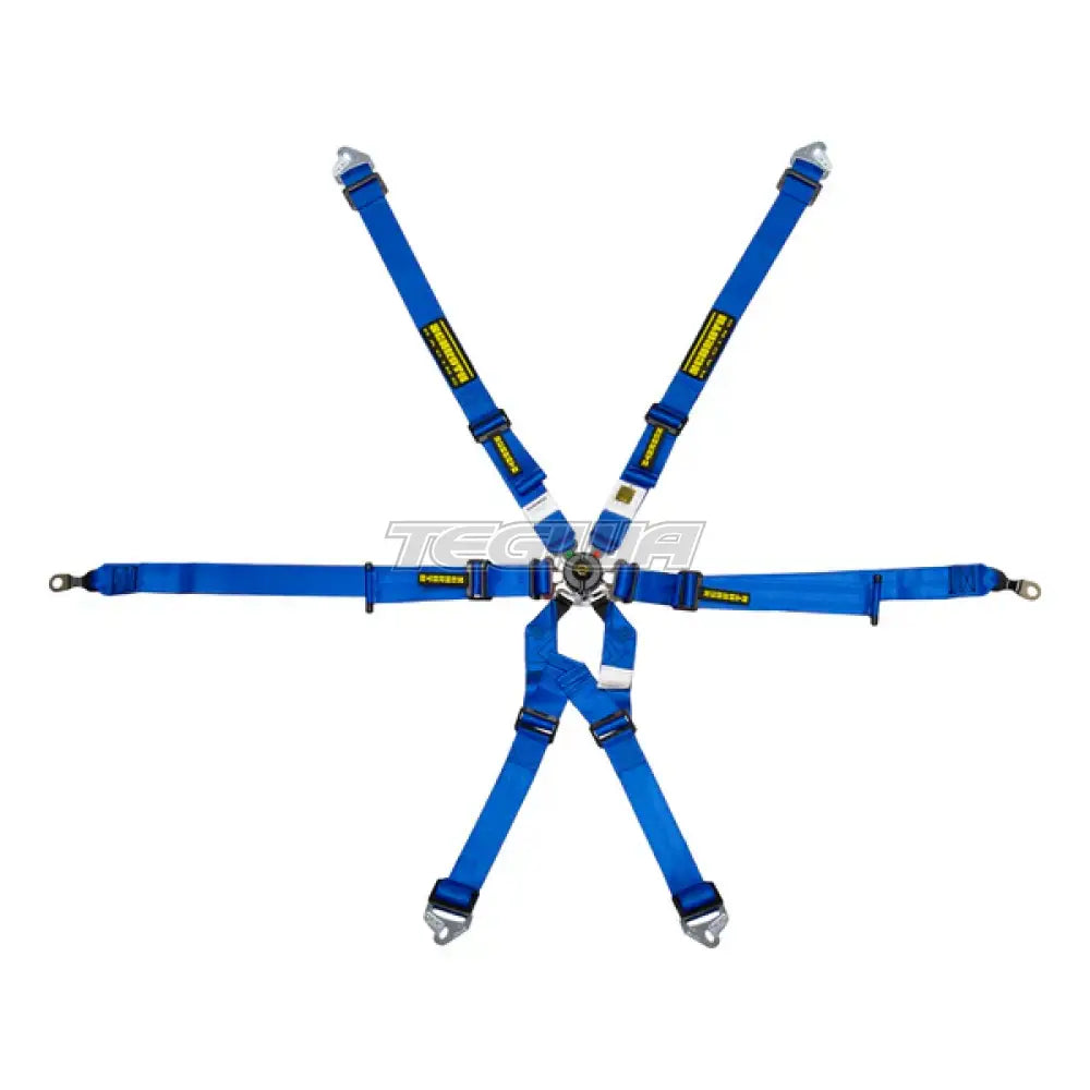 Schroth FHR 6 Point 2x2 OEM Porsche 996/997 Profi Harness