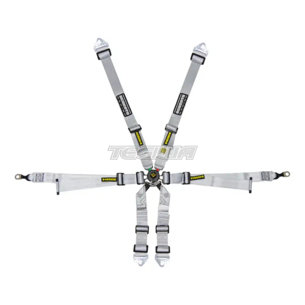 Schroth FHR 6 Point 2x2 OEM Porsche 996/997 Profi Harness