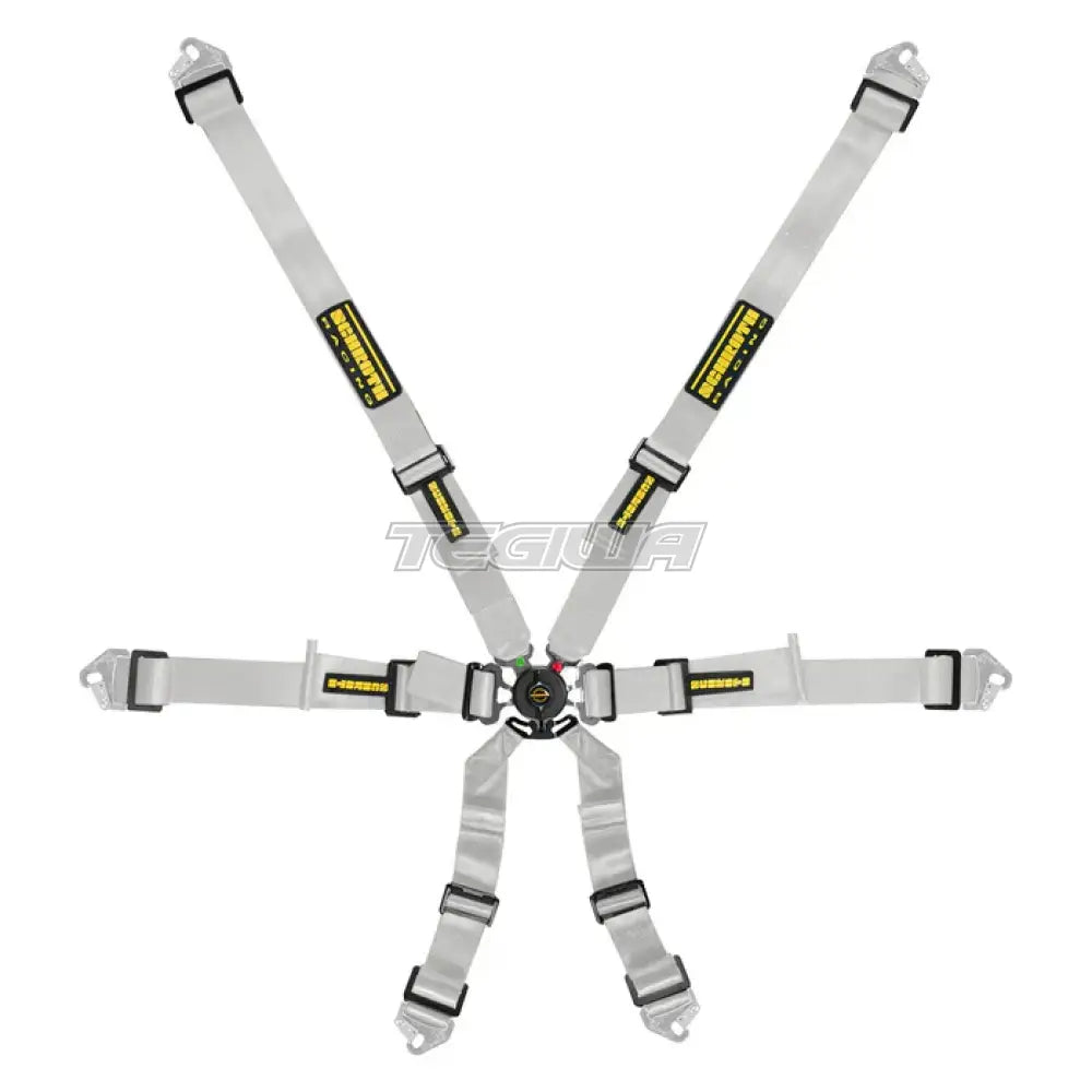 Schroth FHR 6 Point Flexi Harness