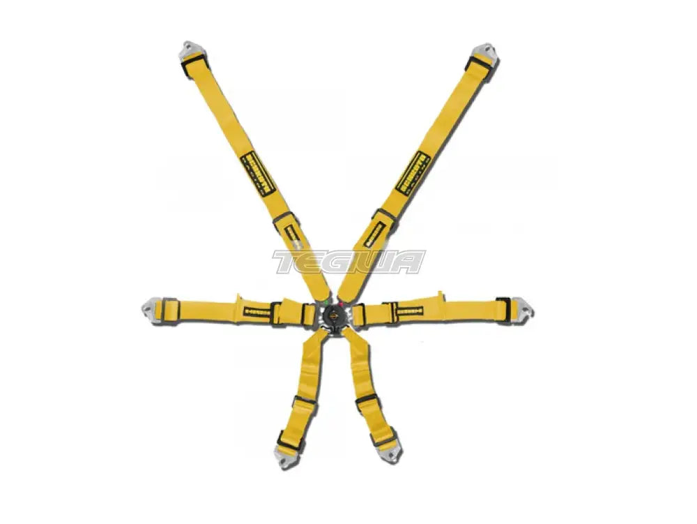 Schroth FHR 6 Point Flexi Harness