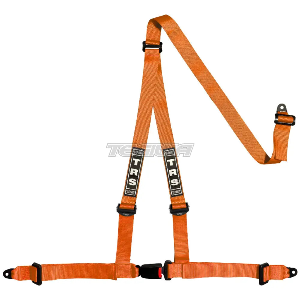 TRS Bolt In 3 Point Road Harness