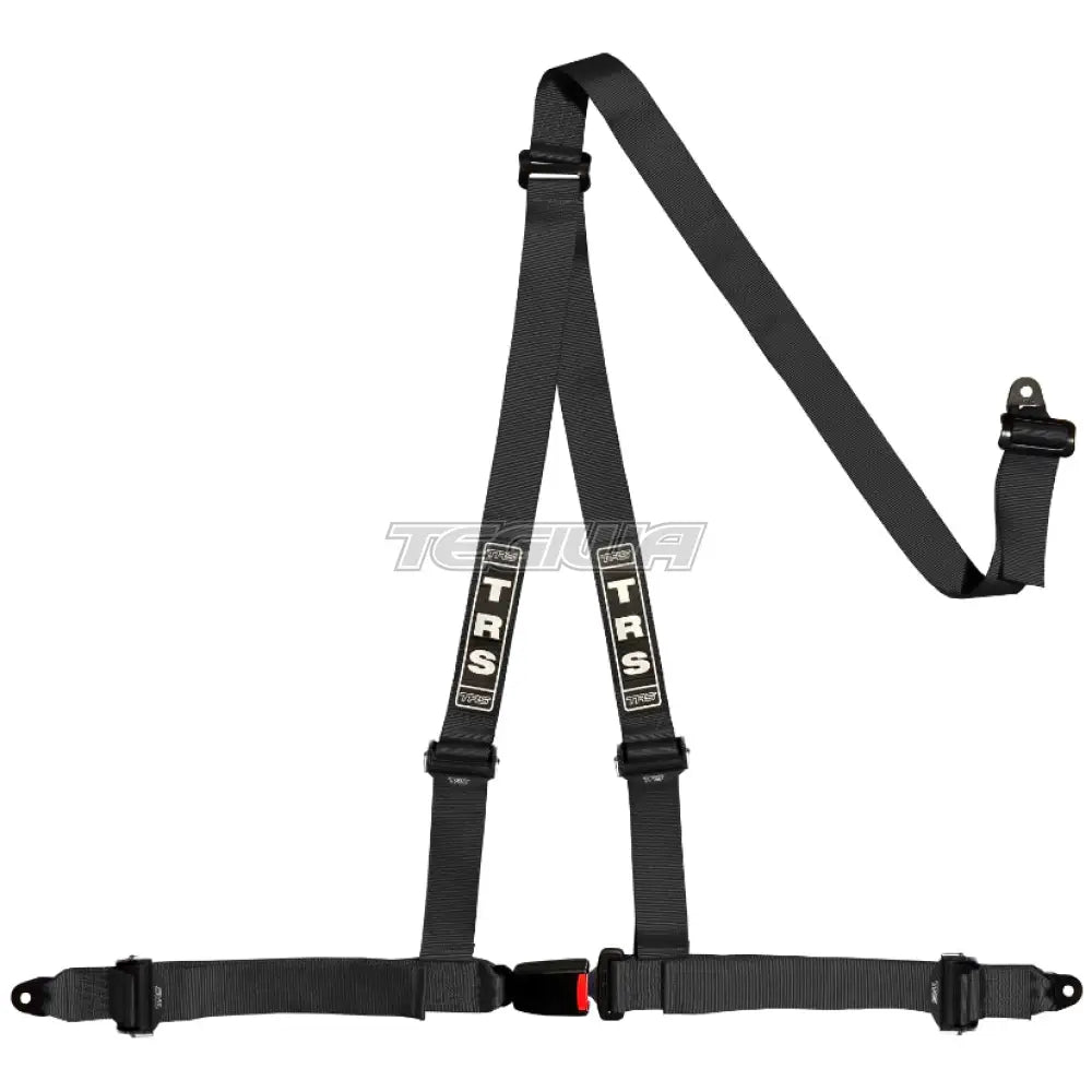 TRS Bolt In 3 Point Road Harness