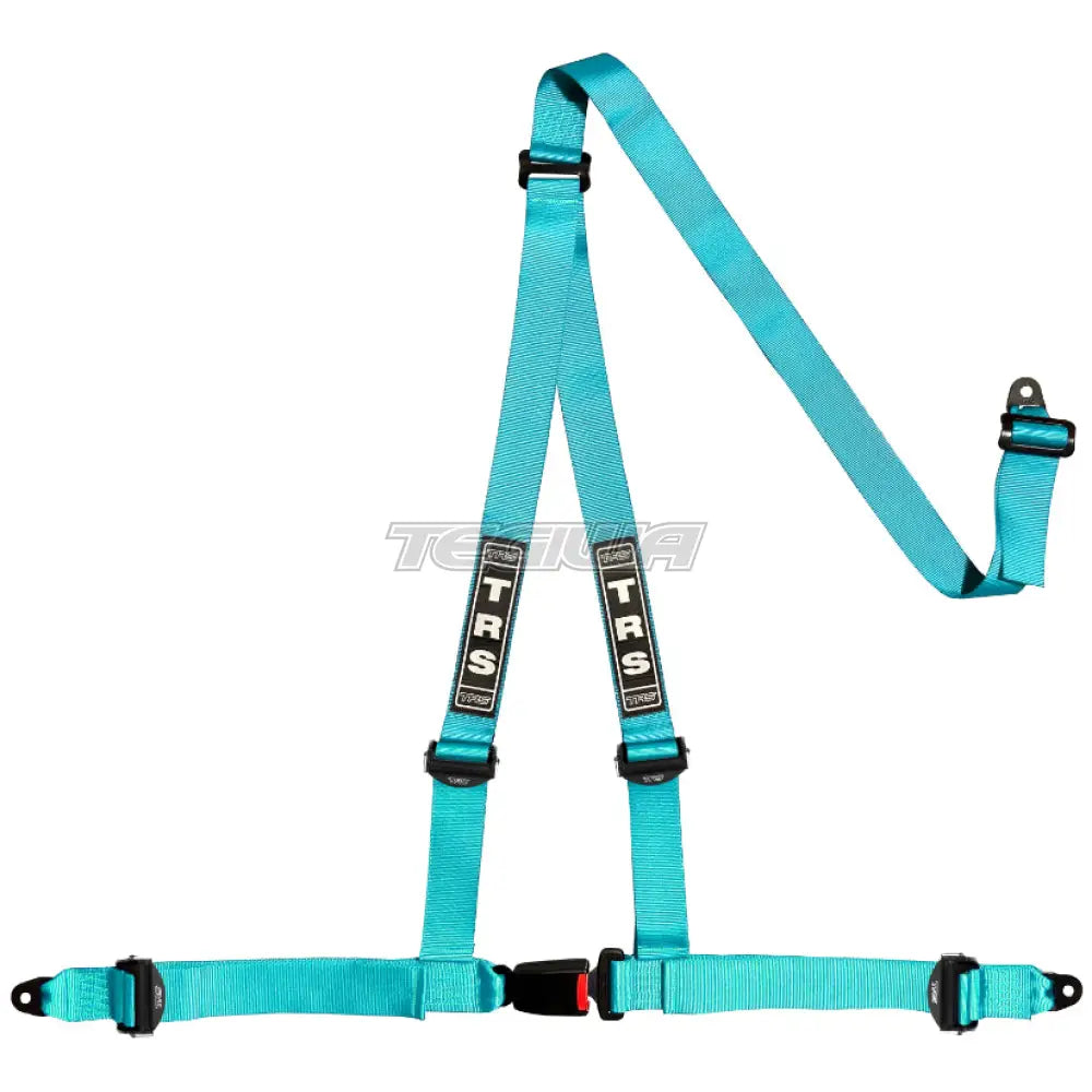 TRS Bolt In 3 Point Road Harness