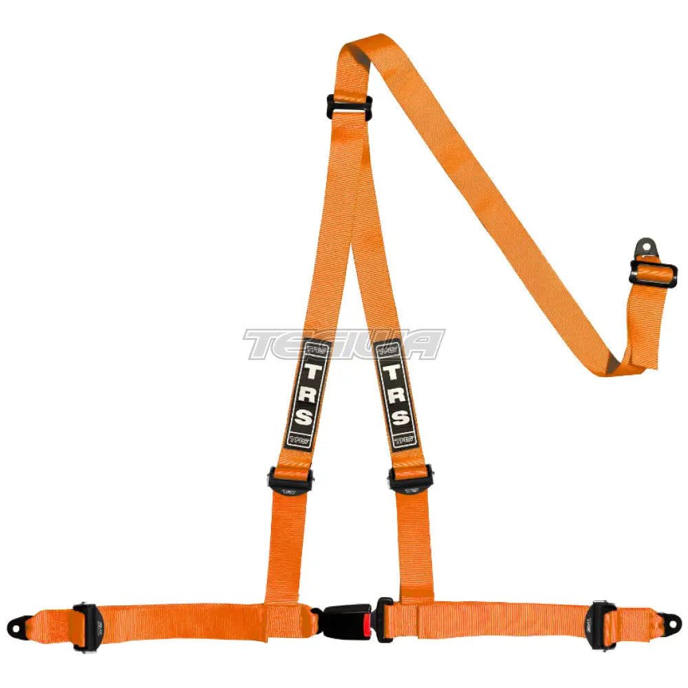 TRS Bolt In 3 Point Road Harness