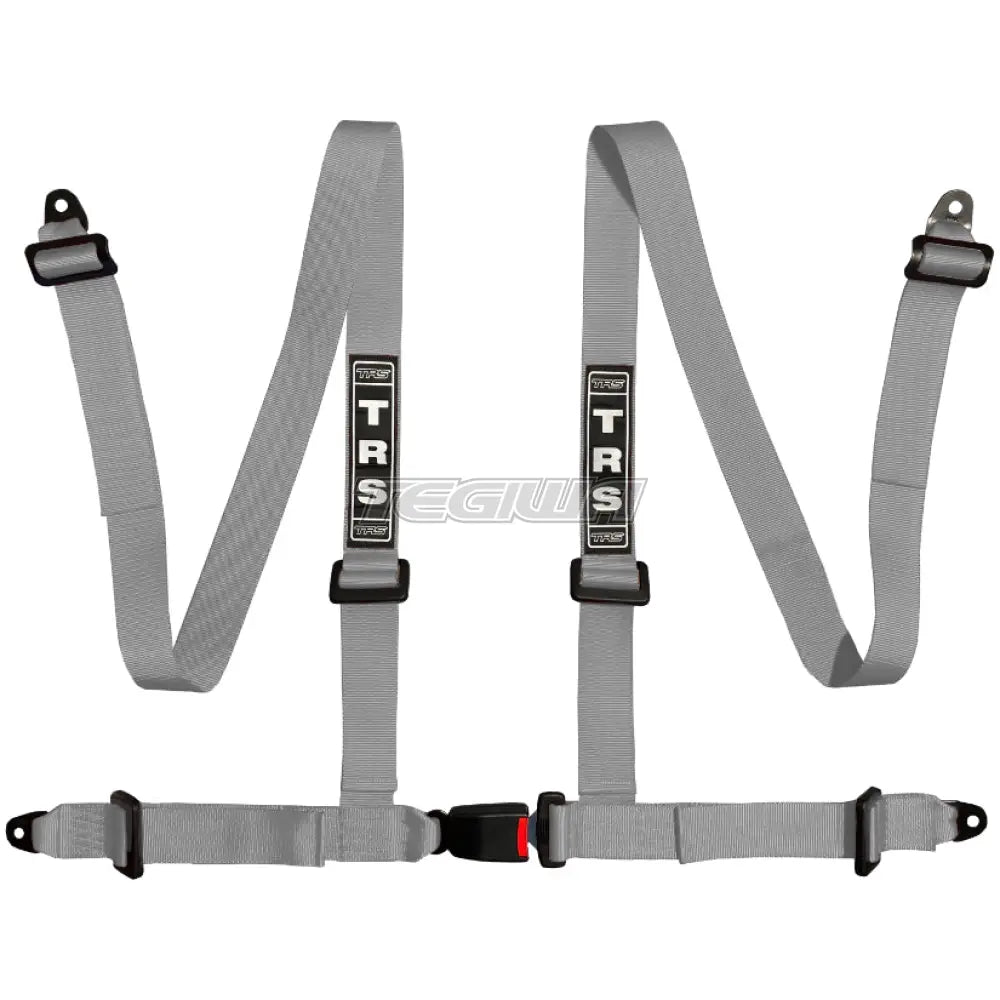 TRS Bolt In 4 Point Road Harness