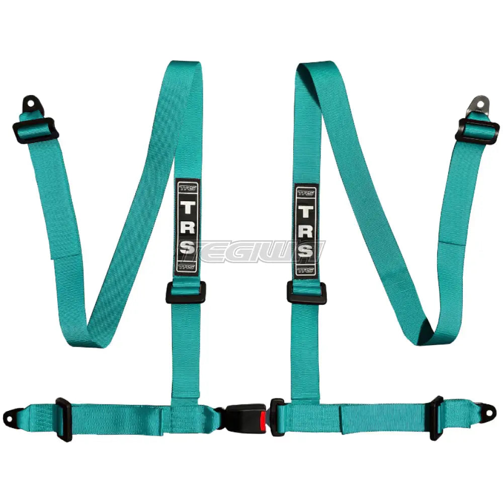 TRS Bolt In 4 Point Road Harness