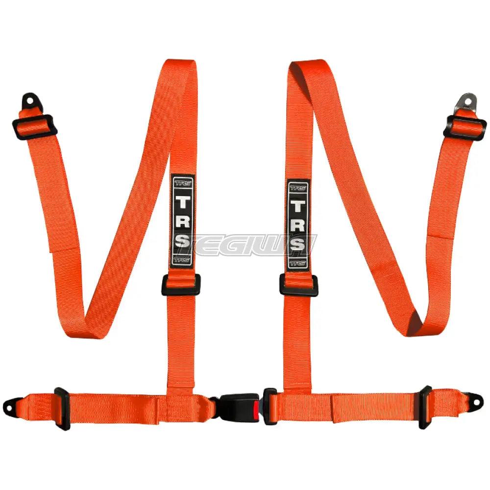 TRS Bolt In 4 Point Road Harness