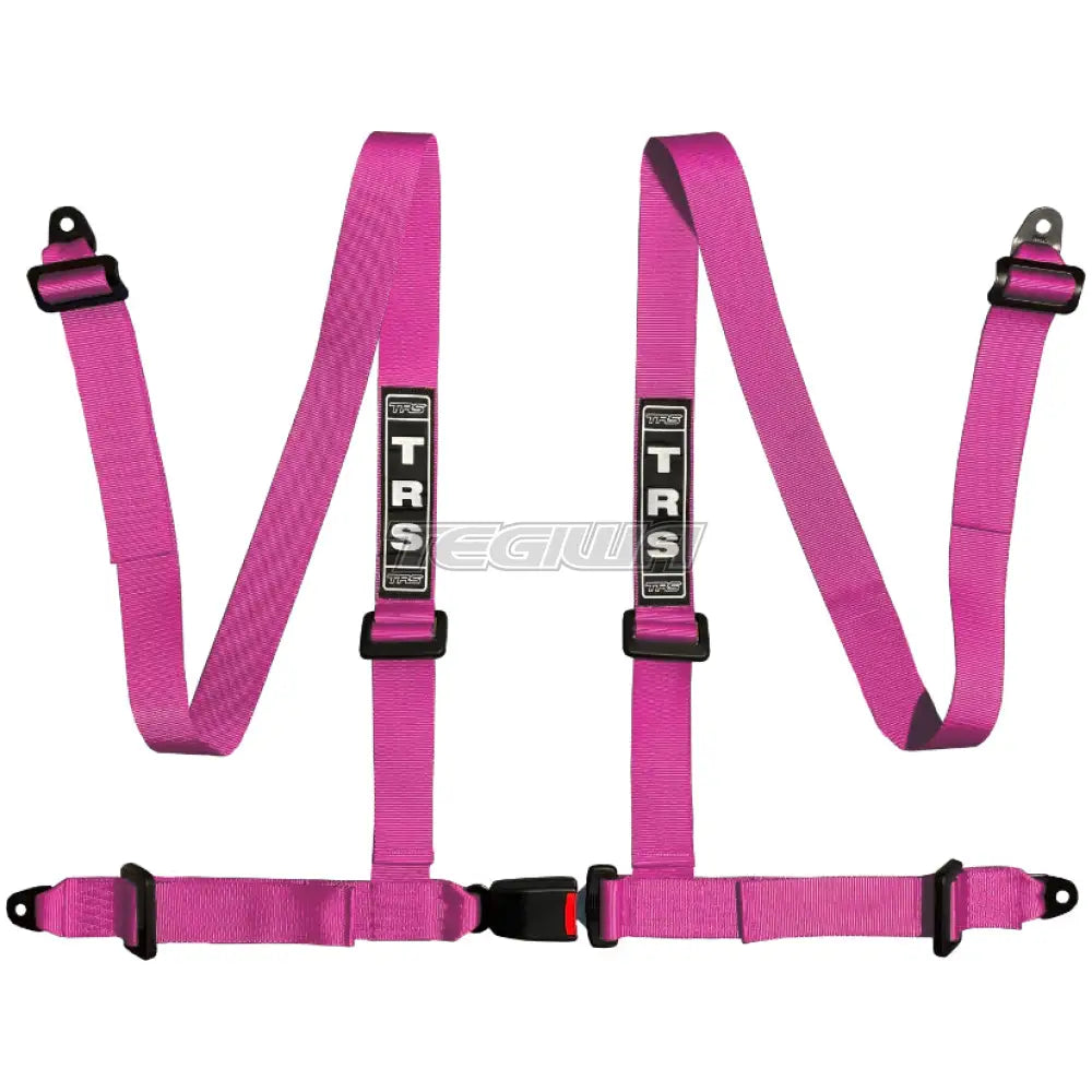 TRS Bolt In 4 Point Road Harness