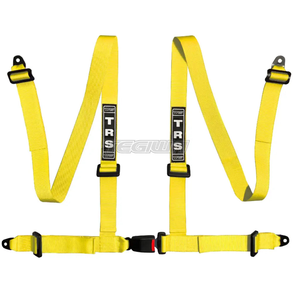 TRS Bolt In 4 Point Road Harness