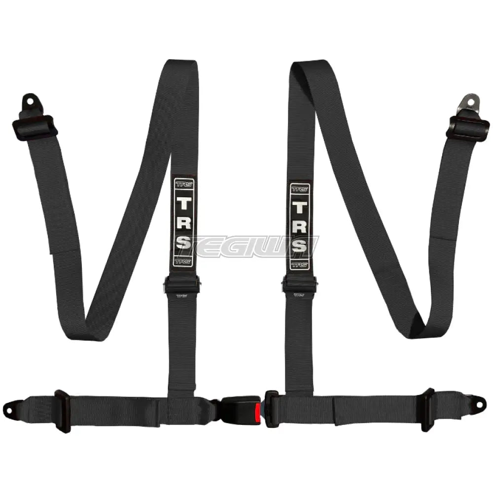 TRS Bolt In 4 Point Road Harness