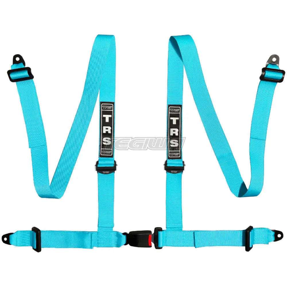 TRS Bolt In 4 Point Road Harness
