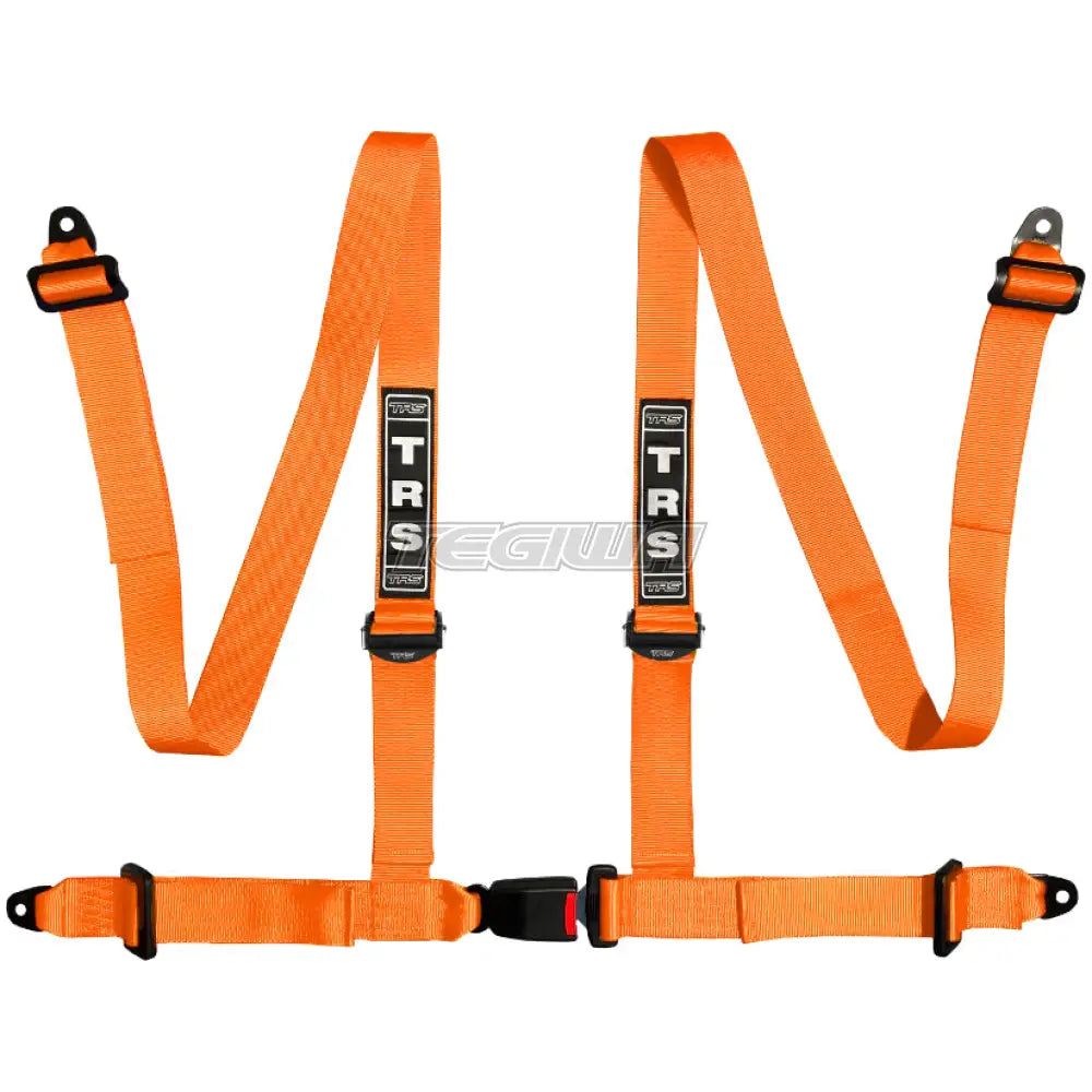TRS Bolt In 4 Point Road Harness