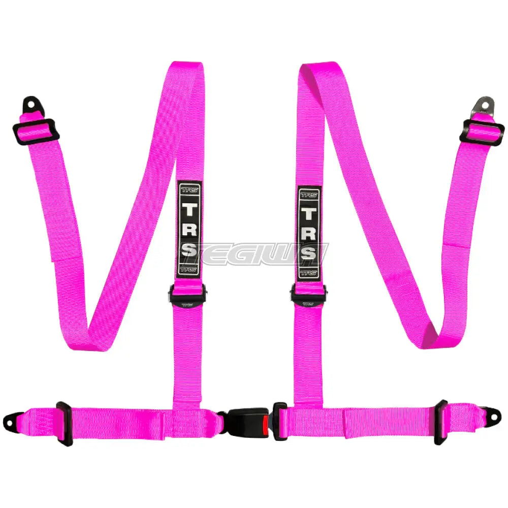 TRS Bolt In 4 Point Road Harness