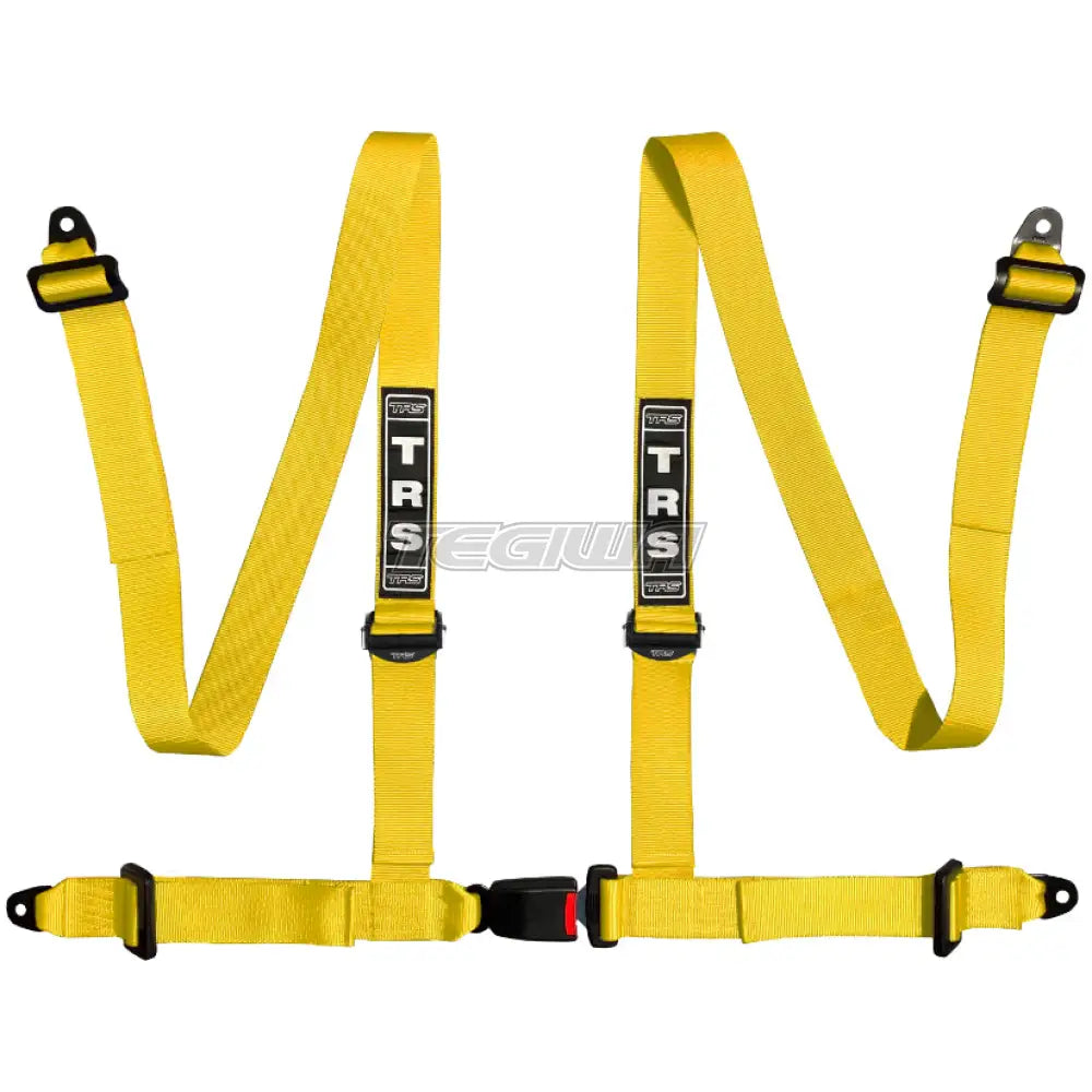 TRS Bolt In 4 Point Road Harness