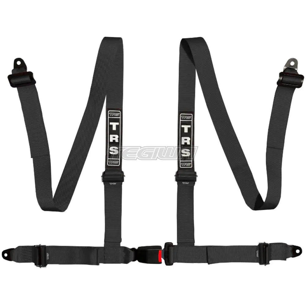 TRS Bolt In 4 Point Road Harness