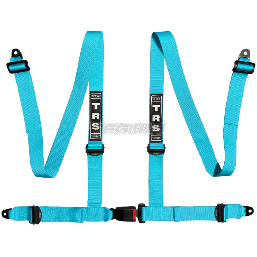 TRS Bolt In 4 Point Road Harness