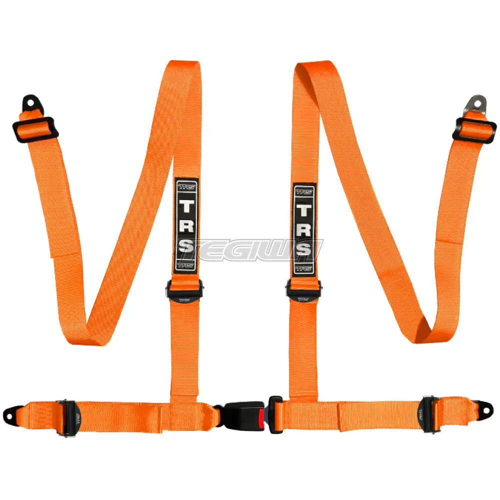 TRS Bolt In 4 Point Road Harness