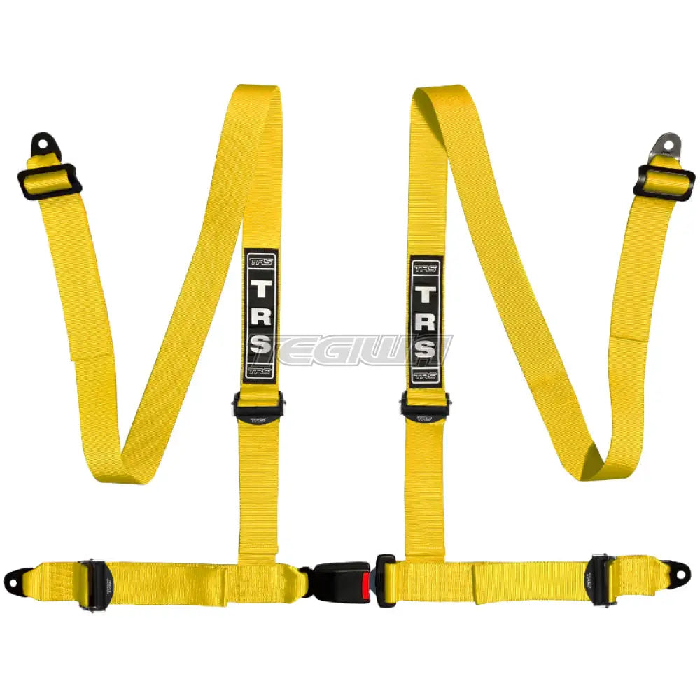 TRS Bolt In 4 Point Road Harness