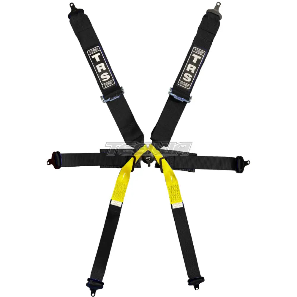 TRS Pro Single Seater 2in/3in 6 Point FIA Harness