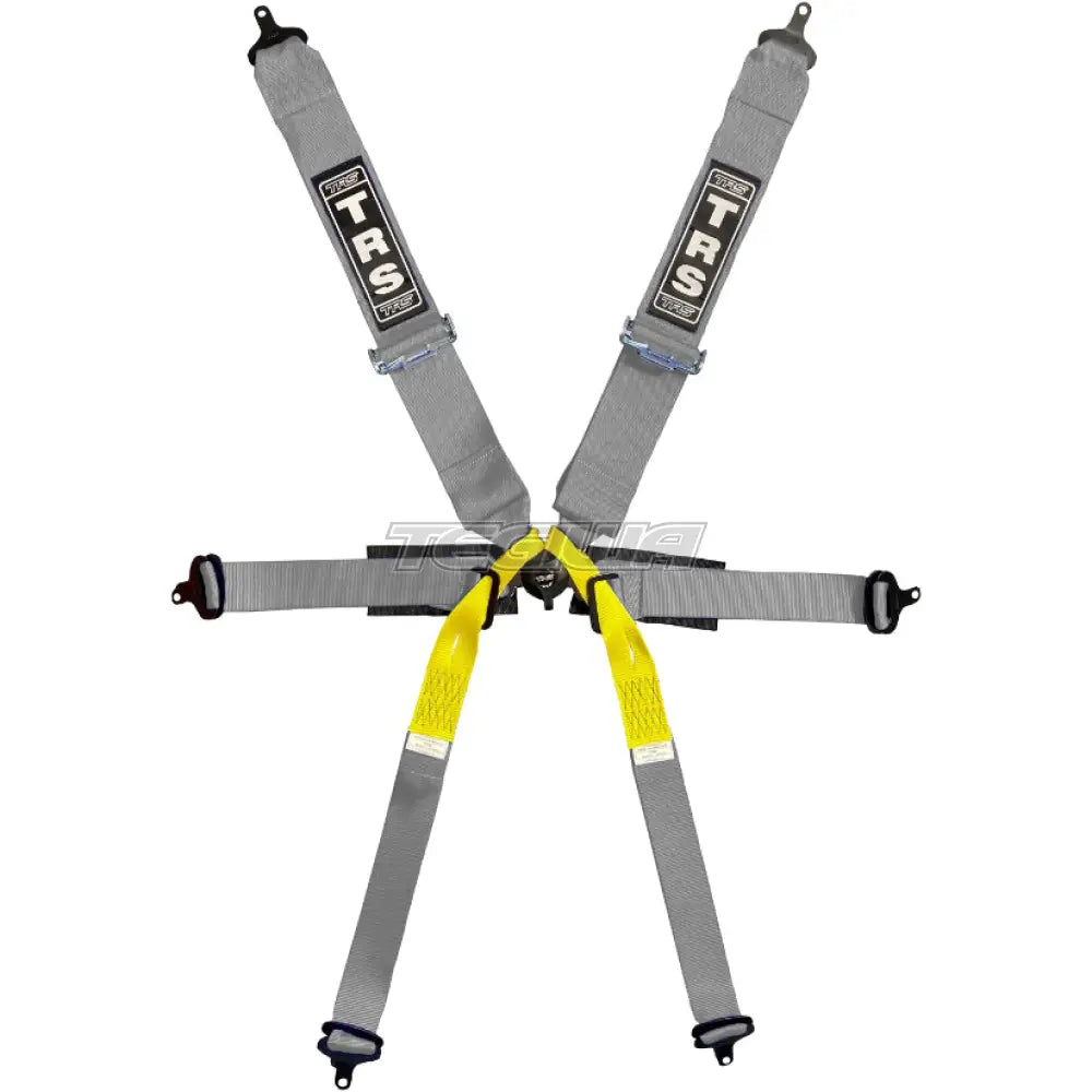 TRS Pro Single Seater 2in/3in 6 Point FIA Harness