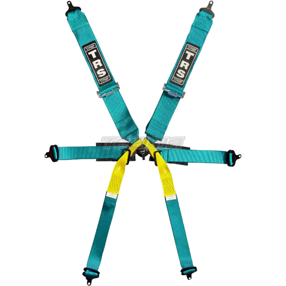 TRS Pro Single Seater 2in/3in 6 Point FIA Harness