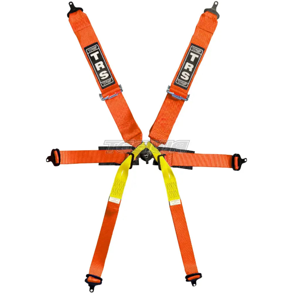TRS Pro Single Seater 2in/3in 6 Point FIA Harness