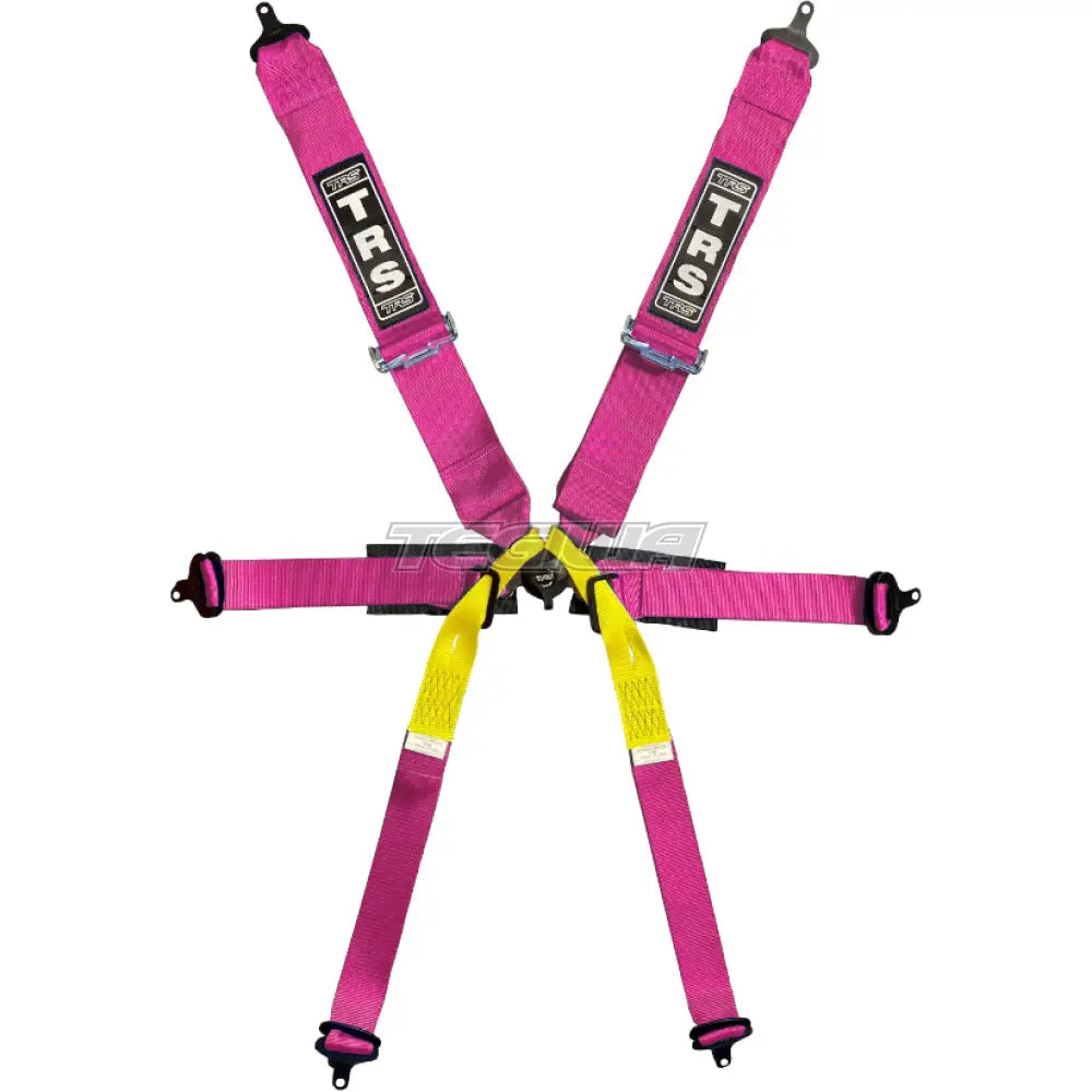 TRS Pro Single Seater 2in/3in 6 Point FIA Harness