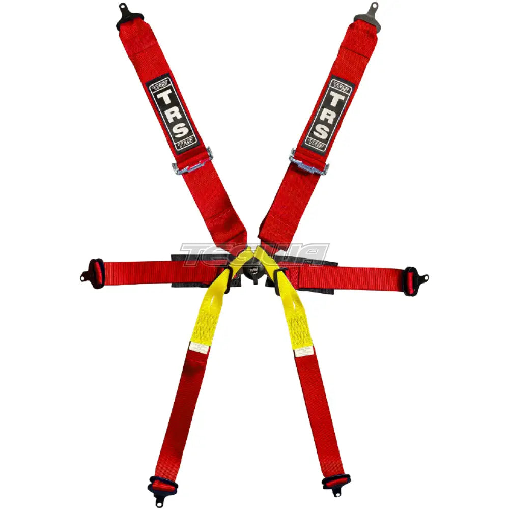 TRS Pro Single Seater 2in/3in 6 Point FIA Harness