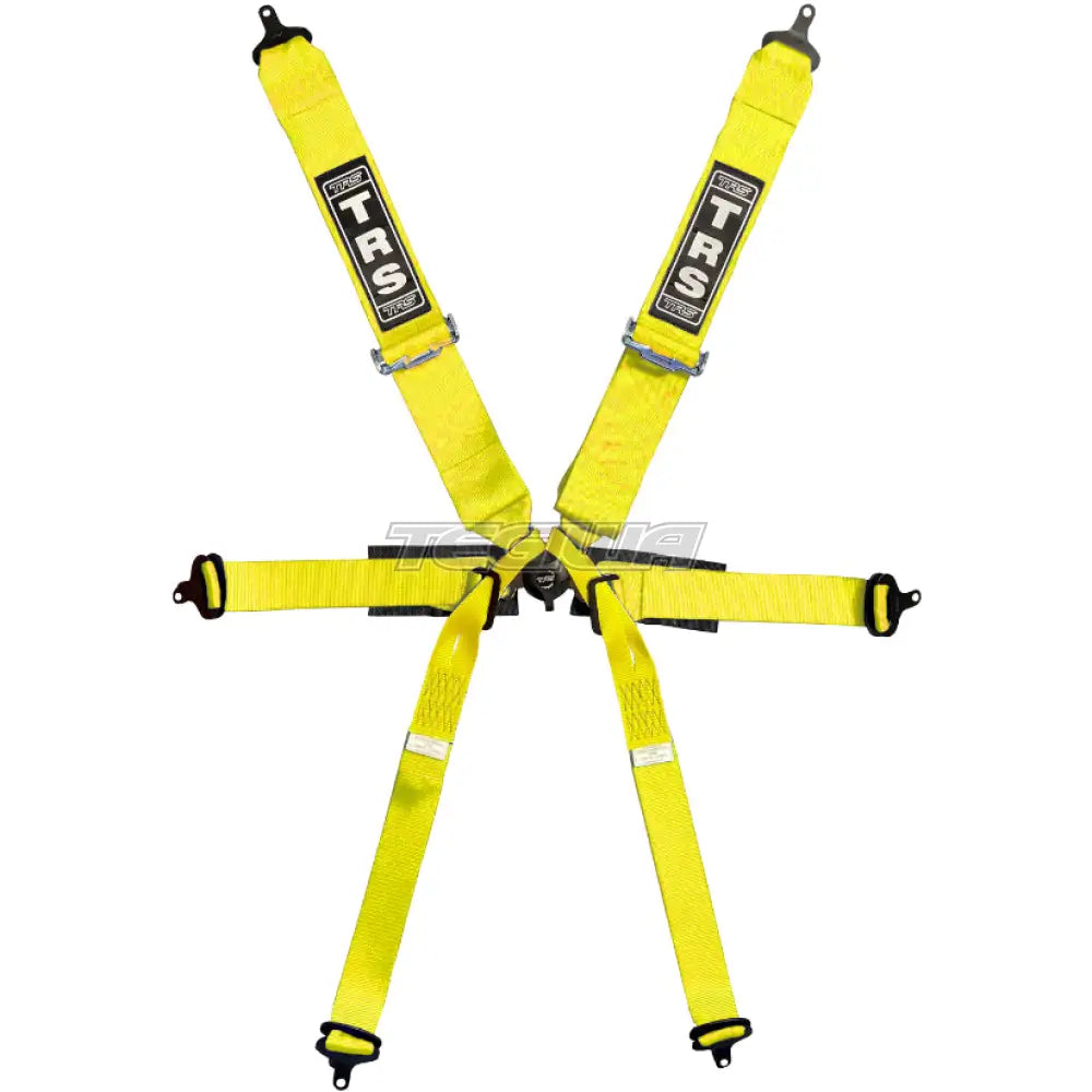 TRS Pro Single Seater 2in/3in 6 Point FIA Harness