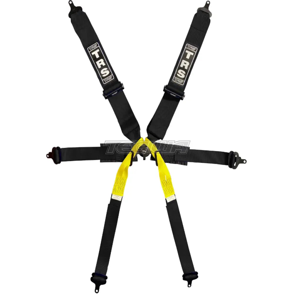 TRS Pro Single Seater 2in/3in 6 Point FIA Harness