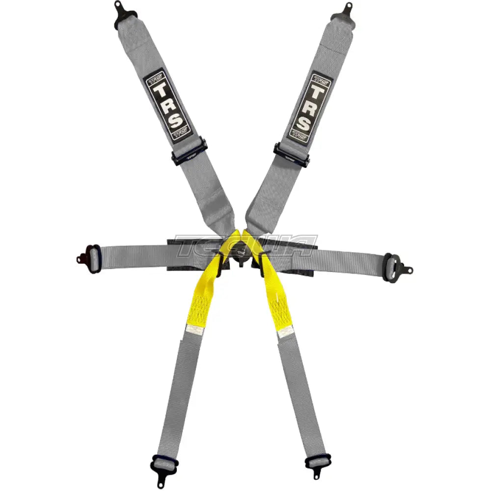 TRS Pro Single Seater 2in/3in 6 Point FIA Harness