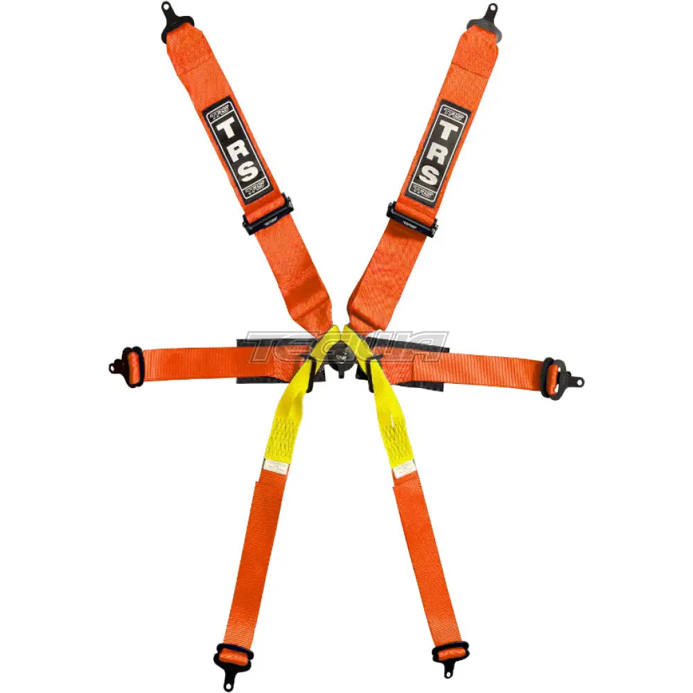 TRS Pro Single Seater 2in/3in 6 Point FIA Harness