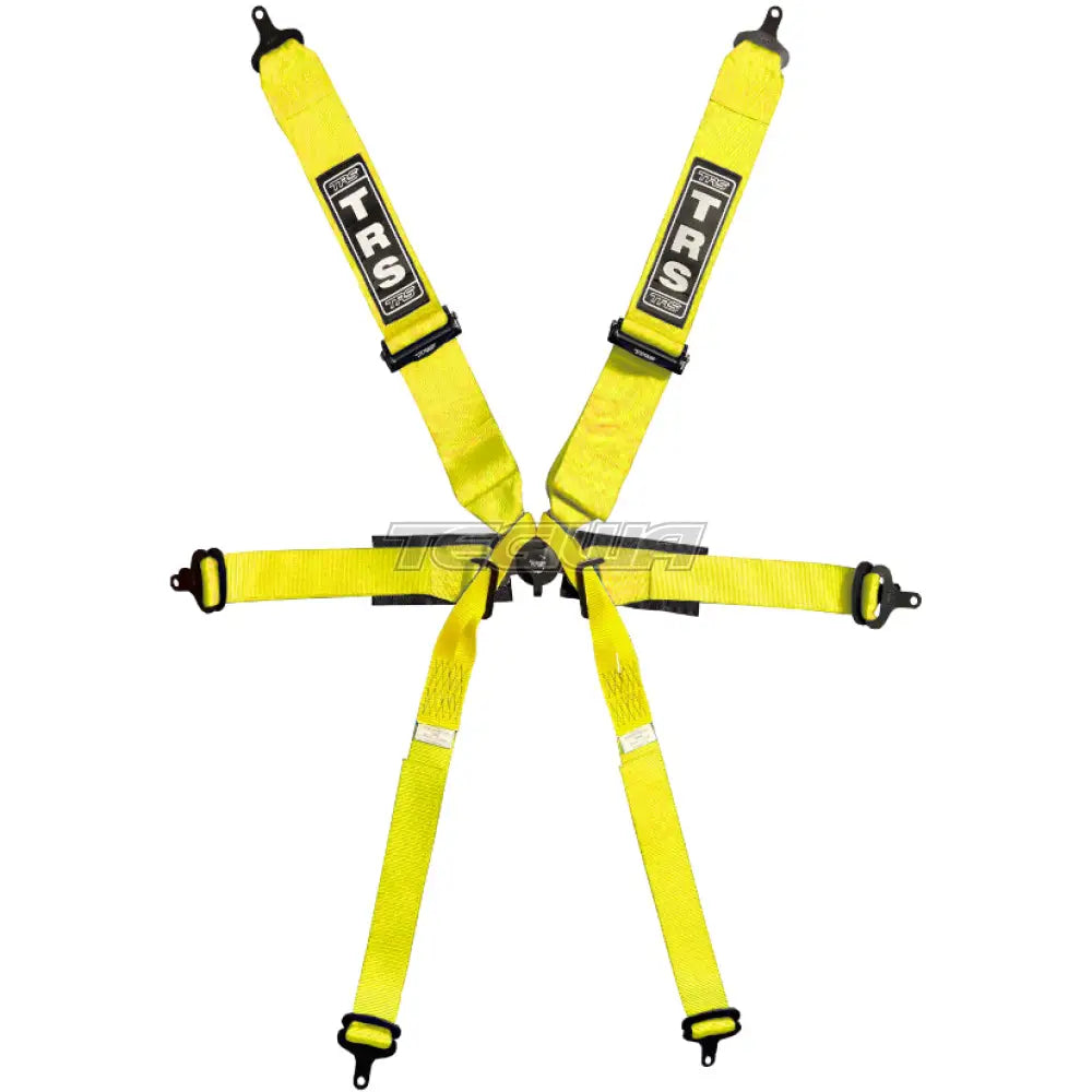 TRS Pro Single Seater 2in/3in 6 Point FIA Harness