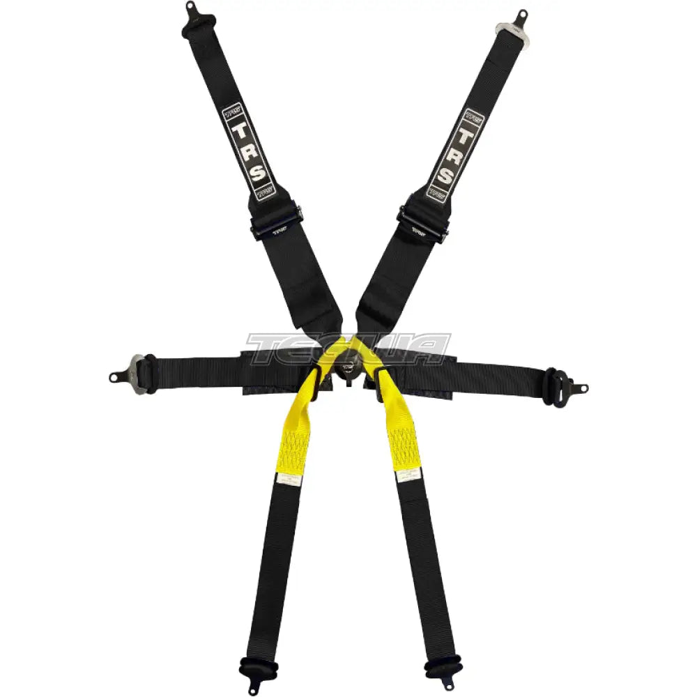 TRS Pro Single Seater 2in/3in 6 Point Superlite FIA HANS Harness