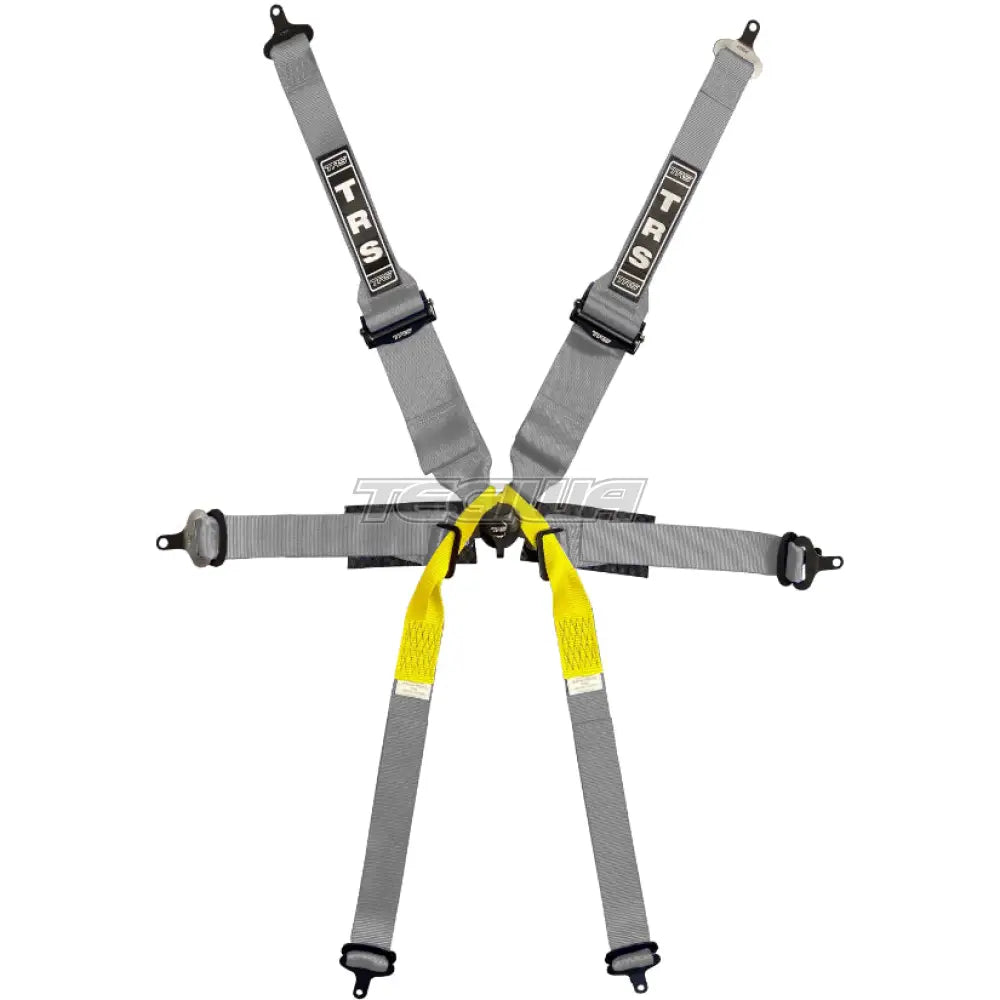 TRS Pro Single Seater 2in/3in 6 Point Superlite FIA HANS Harness