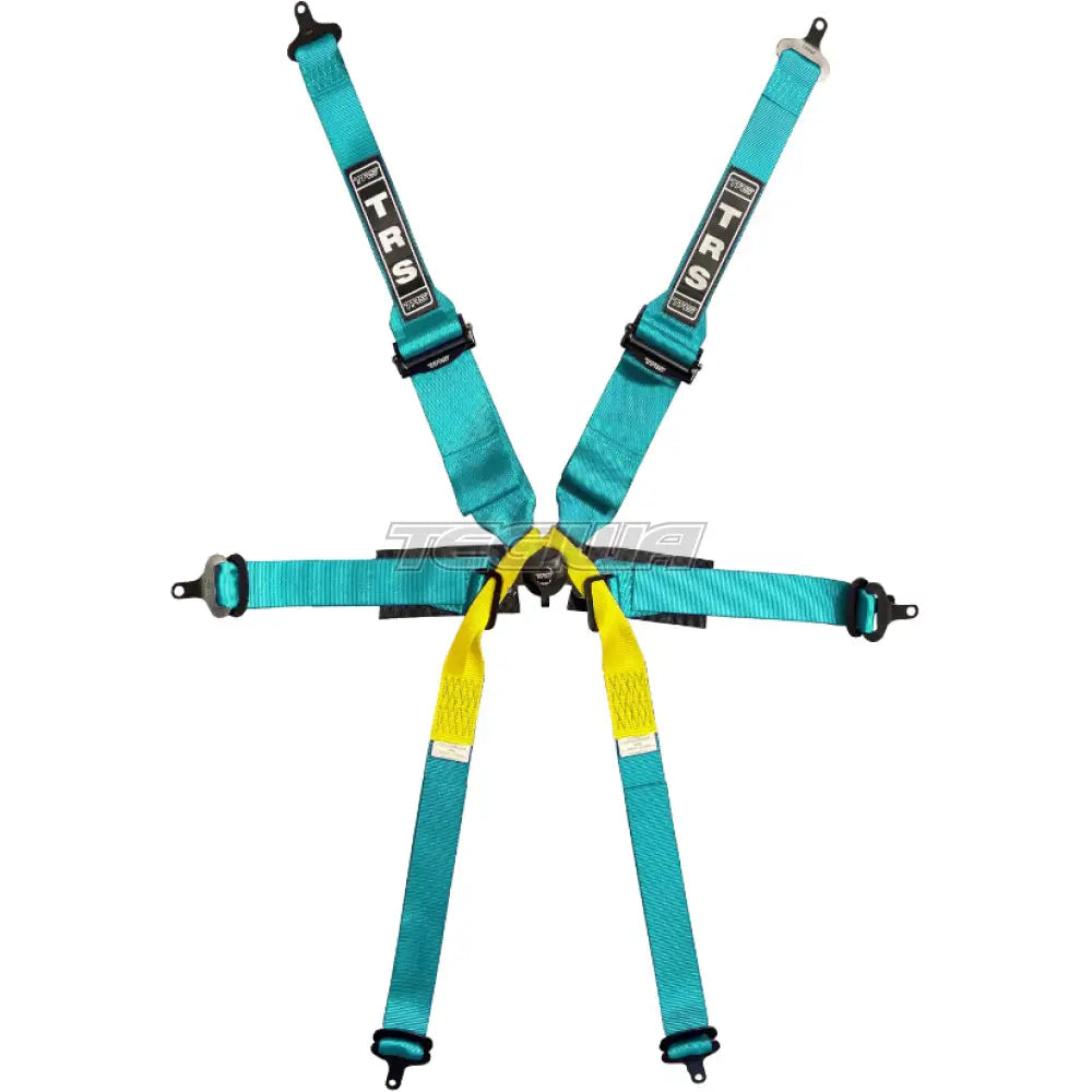 TRS Pro Single Seater 2in/3in 6 Point Superlite FIA HANS Harness