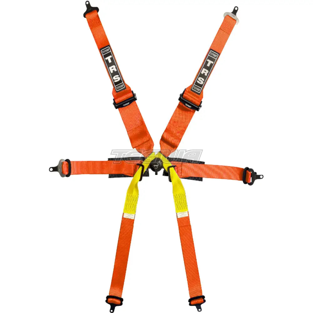 TRS Pro Single Seater 2in/3in 6 Point Superlite FIA HANS Harness